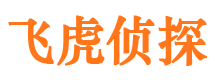 月湖市私家侦探